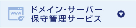 ドメイン・サーバー
保守管理サービス